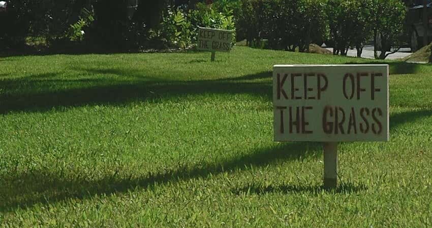 keep off grass