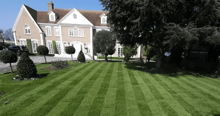 new lawn laid