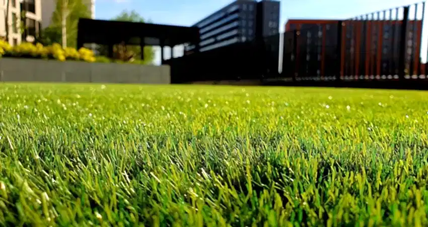 Artificial Grass